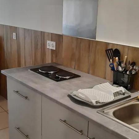 Avec Terrasse Ombragee *